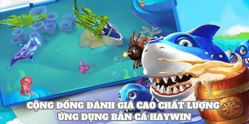 Cộng đồng đánh giá cao chất lượng ứng dụng Hay Win