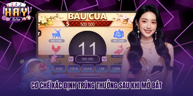 co-che-xac-dinh-trung-thuong-sau-khi-mo-bat Cơ chế xác định thưởng lắc bầu cua sau khi mở bát