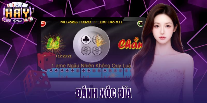 Đánh Xóc Đĩa - Hướng Dẫn Luật Chơi Chi Tiết Tại Haywin
