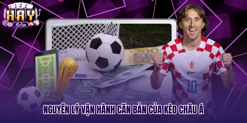 Nguyên lý vận hành kèo châu Á qua tỷ lệ chấp bóng