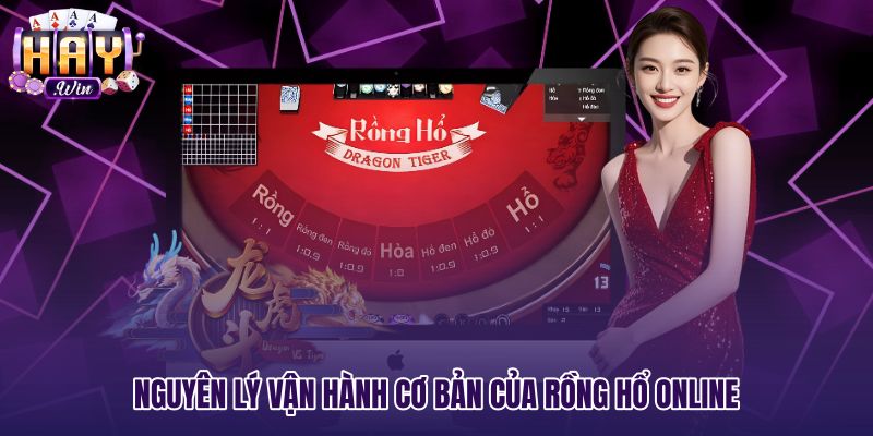 Quy tắc tính điểm lá bài Rồng hổ online chuẩn xác