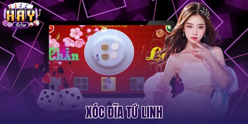 Xóc Đĩa Tứ Linh Haywin - Luật Chơi Và Cơ Chế Thưởng X10